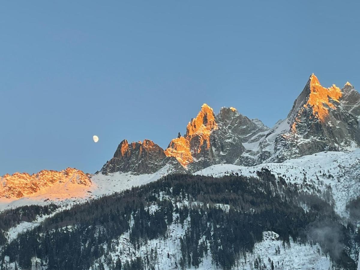 Апартаменты L'Aiguille De L'M Шамони Экстерьер фото